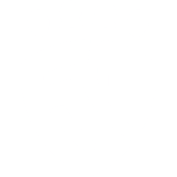 Team Sixty Plus Logo White